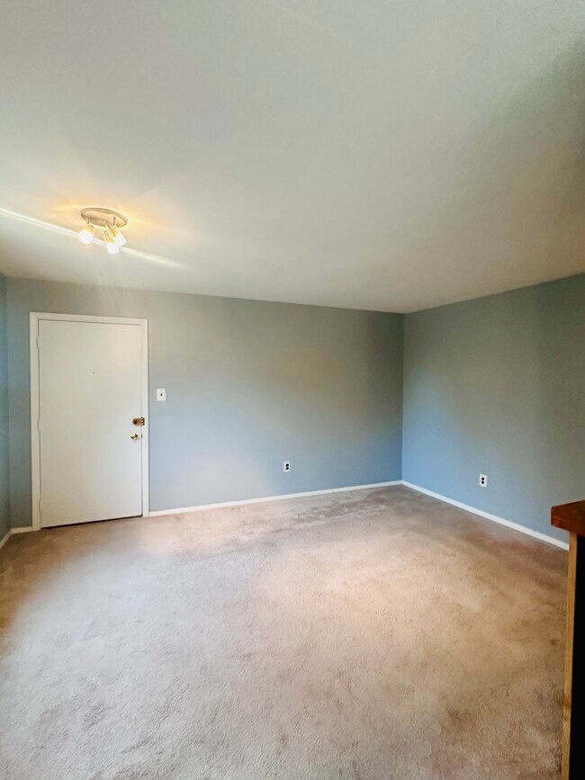 living room - 103 Deep Run Rd