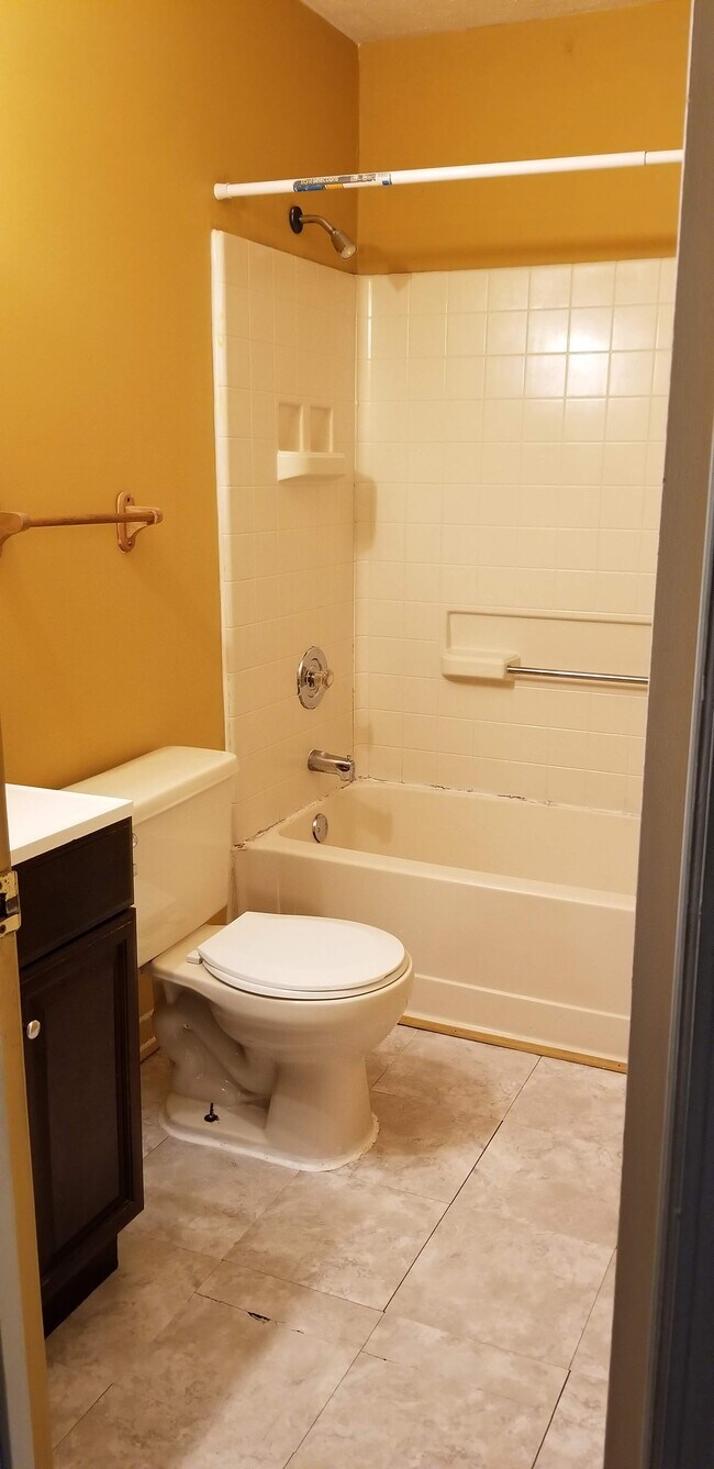 Hall bathroom - 412 Leeville Pike