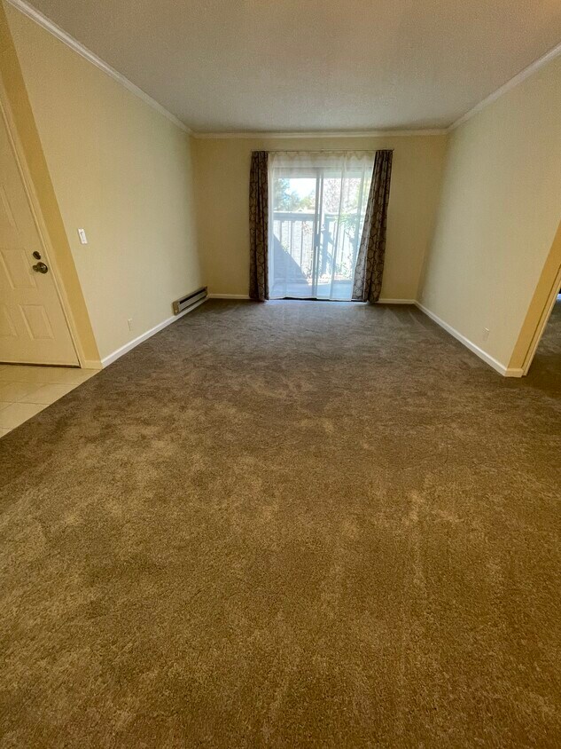 Living room - 1055 N Capitol Ave
