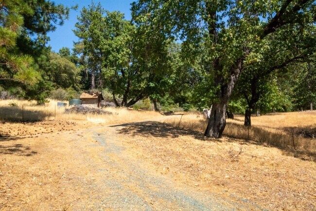 Foto del edificio - Charming Lindal Cedar Home on 10 Acres
