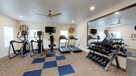 This single-level fitness room is thoughtfully designed to support a well-rounded exercise routine. The space features a checkered flooring pattern combining blue and neutral carpet tiles, adding a visually dynamic element to the room while providing a durable, cushioned surface underfoot. Recessed lighting and a modern ceiling fan work together to keep the space well-lit and comfortably ventilated during workouts.

The cardio section is equipped with two treadmills, an elliptical trainer, and a stationary bike, all positioned to face wall-mounted flat-screen televisions for entertainment during exercise. Natural light filters in through two windows along the far wall, brightening the room and creating an open, energizing atmosphere.

Along one wall, a large wood-framed mirror extends nearly floor to ceiling, visually expanding the space and reflecting the full layout of the room. Adjacent to the mirror, a multi-tiered dumbbell rack holds a comprehensive range of free weights, catering to strength training needs. Decorative wall accents add subtle character to the otherwise clean, white walls. Overall, the room presents a functional and well-appointed environment suited for daily fitness use.