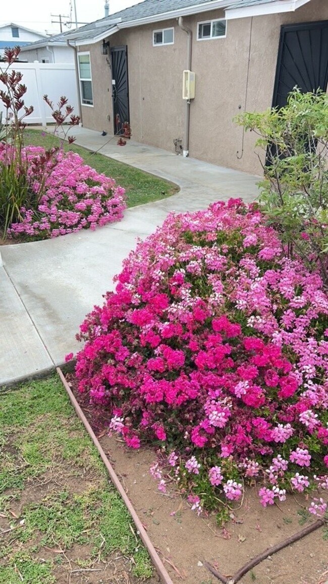 Foto del edificio - 1 Block from the Beach! Apartment Home in Ocean Beach! Private Garage! Private Patio!