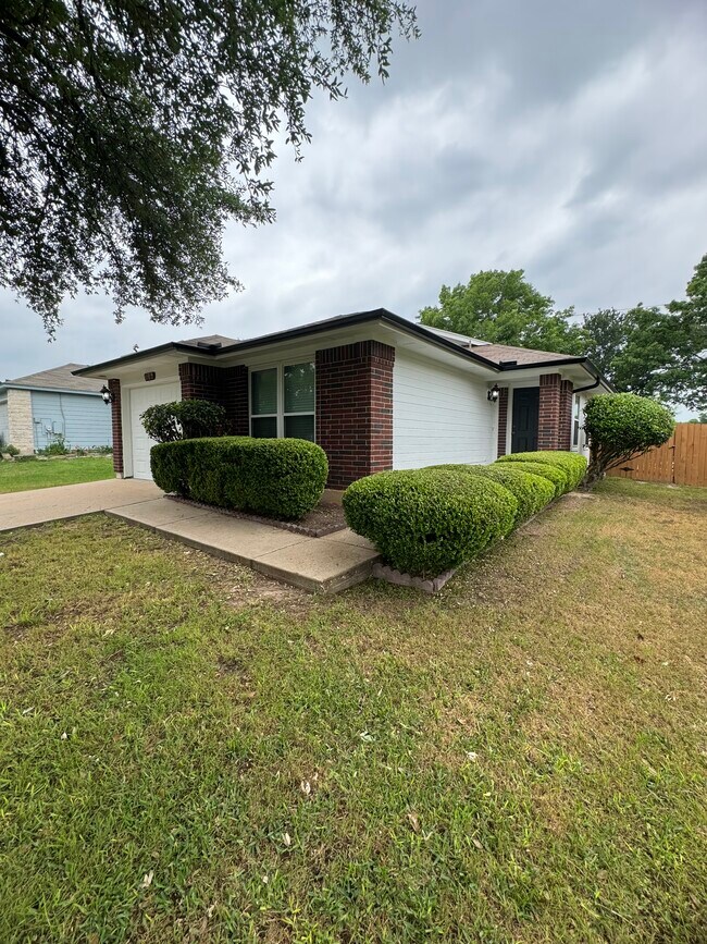 Arbustos de entrada - 736 Patchway Ln