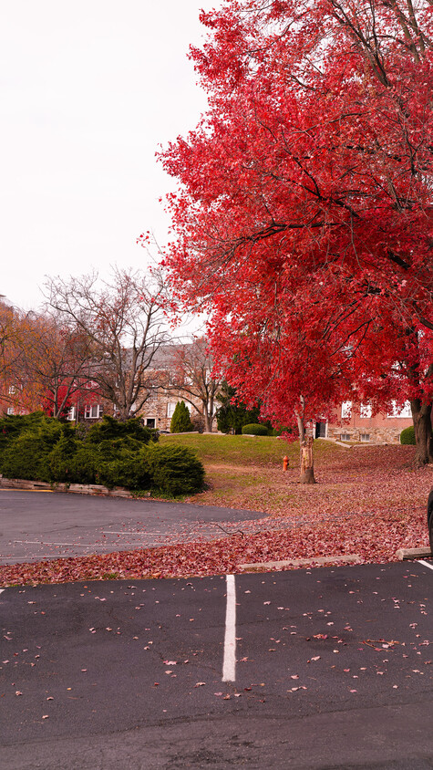 Primary Photo - Wynfield Apartments