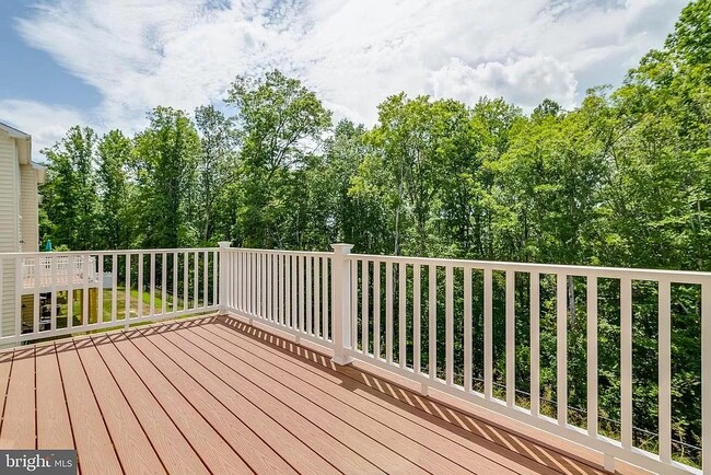 Backyard Deck - 310 Tree Line Dr