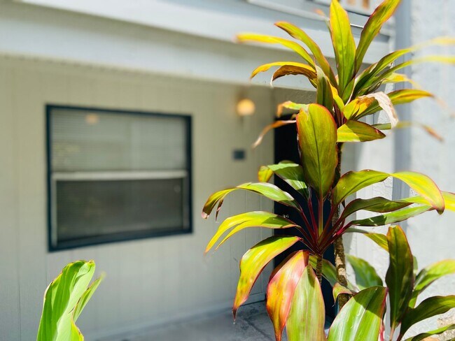 Building Photo - 1BD/1BA Apartment off Curry Ford in Henley...