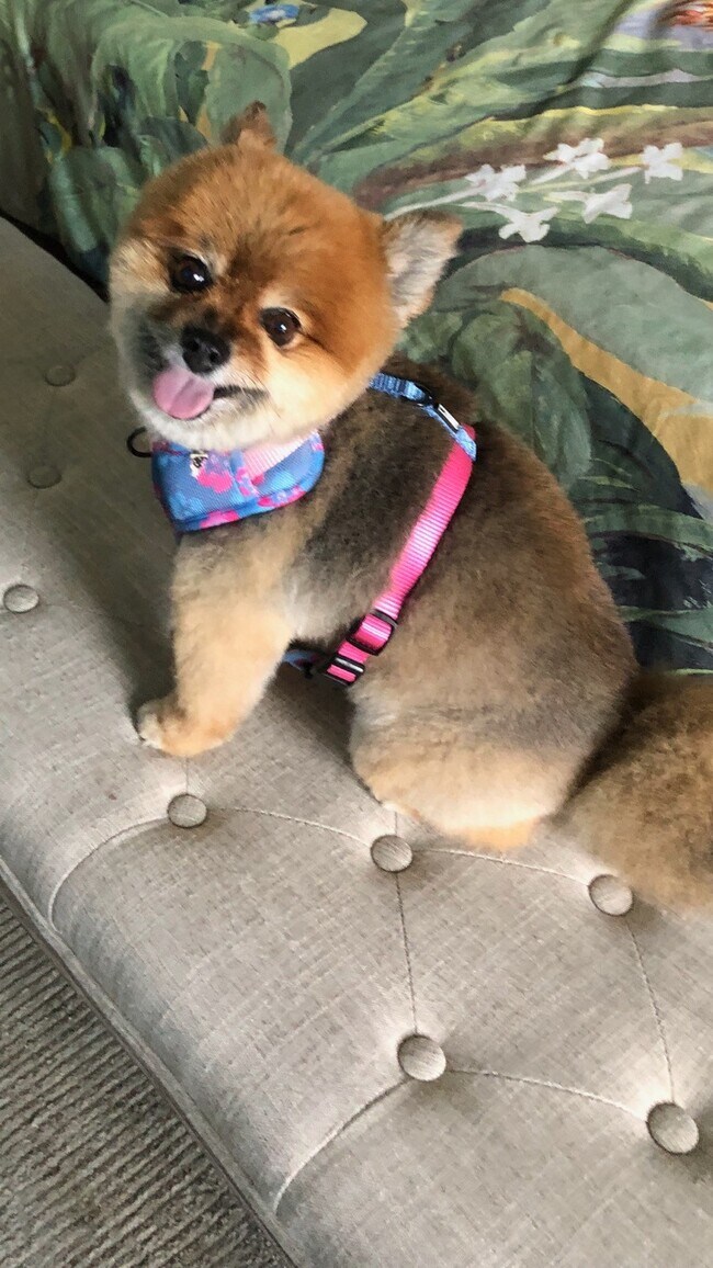 Foto del edificio - 33074 Ocean Rdg