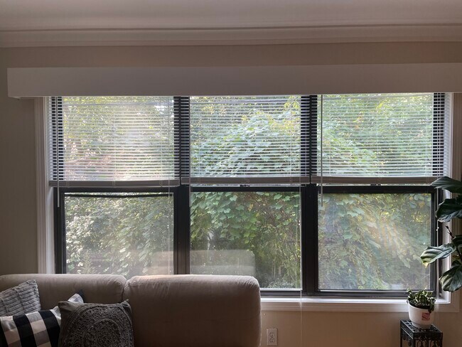 Apartamento rostros West hasta patio trasero de vecinos en Huntington Woods - 25777 Woodward Ave