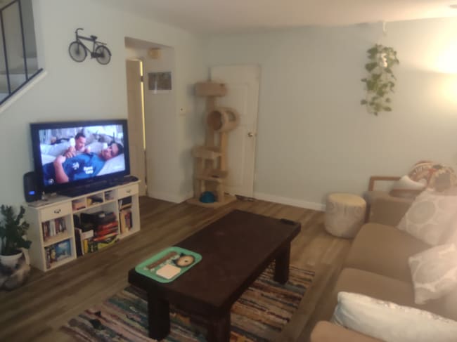 Living Room - 403 East Bluff