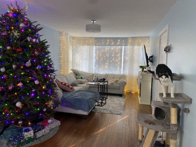 Foto del edificio - 5707 W Giddings St