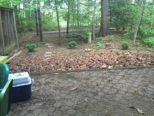 backyard2 - 1904 Winterport Cluster