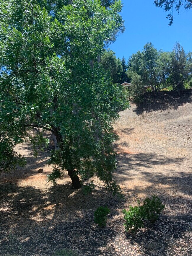 Foto del edificio - 2700 Bollinger Canyon Rd