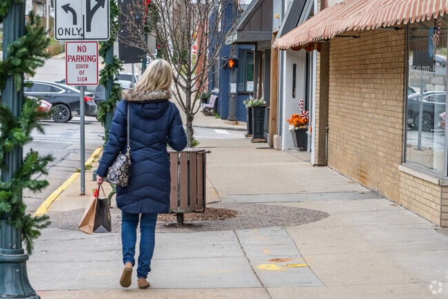 An area shopper walks by storefronts on Main St. Hartford.