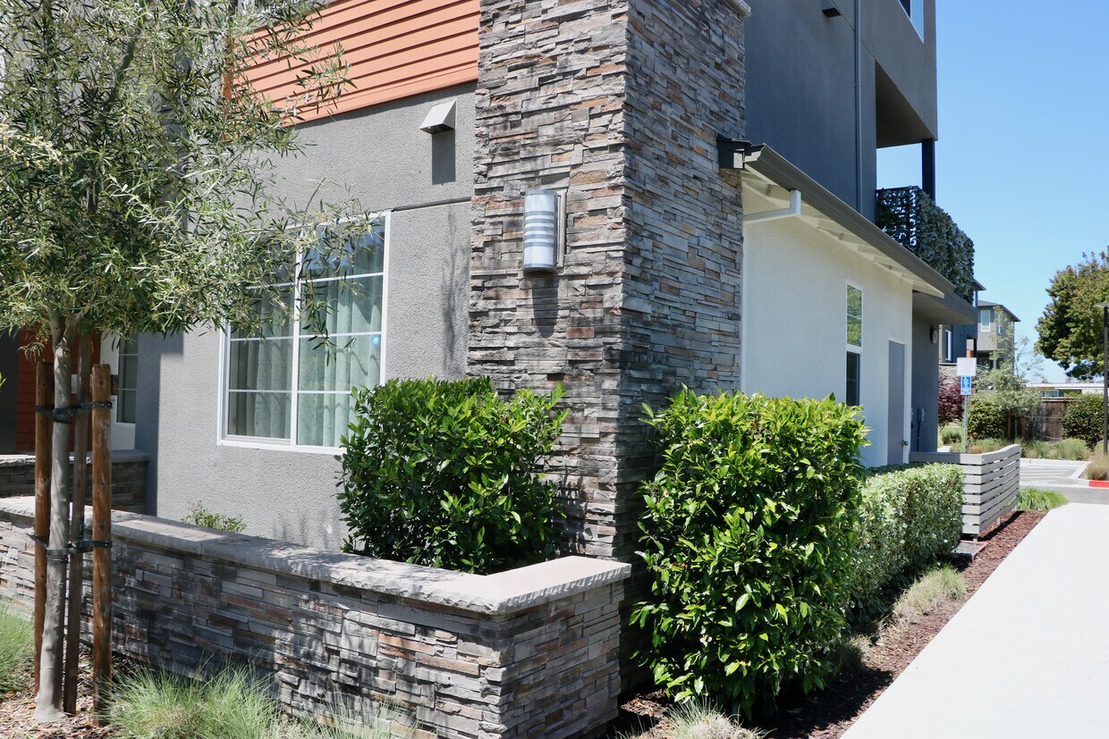 257 Bolt Ct, Hayward, CA 94544 Townhome Rentals in Hayward CA