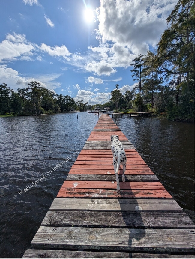 Building Photo - 5568 La Moya Ave