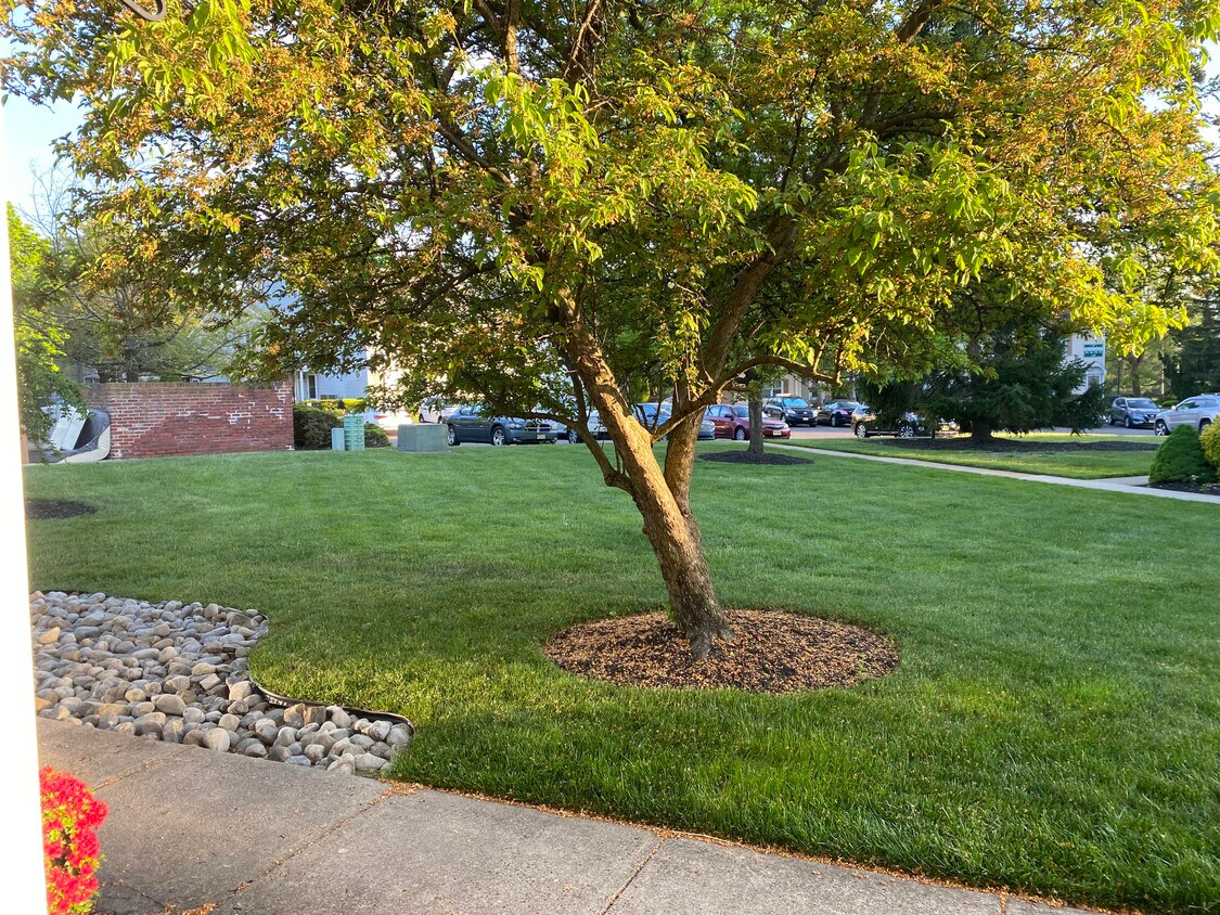 Courtyard View - 311A Delancey Pl