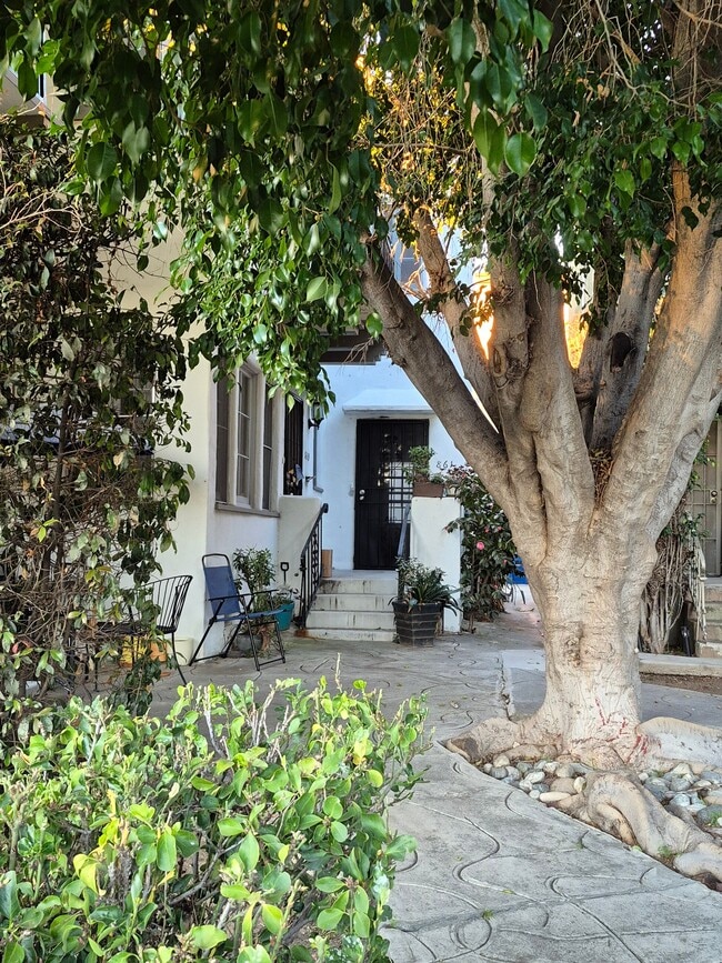 Patio común - 861 N Alexandria Ave