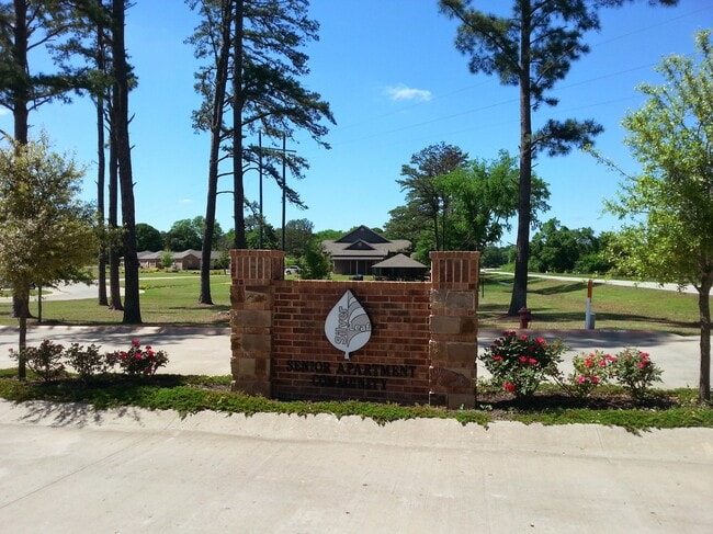 Primary Photo - Silverleaf at Chandler