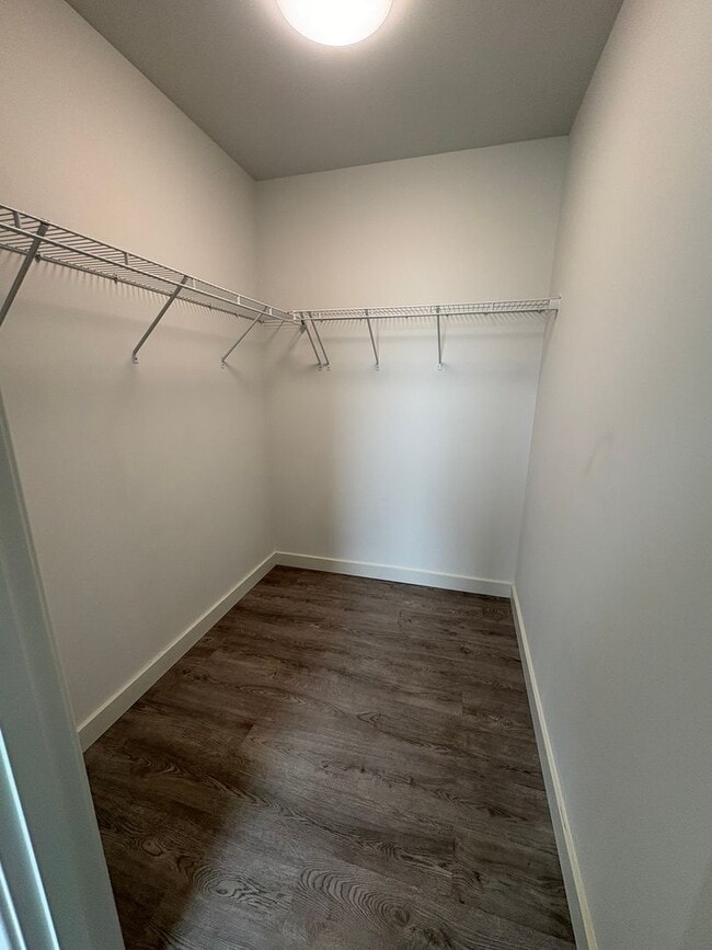 Interior Photo - Baumhaus Apartments