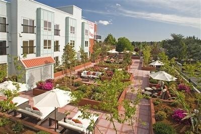 Primary Photo - Sapphire Condominiums - Studio + extra room