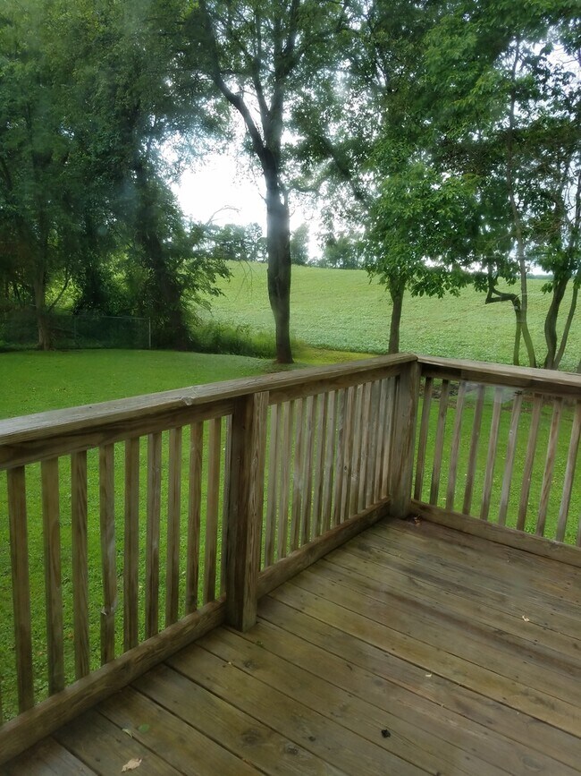 Foto del edificio - 203 Debbie Dr