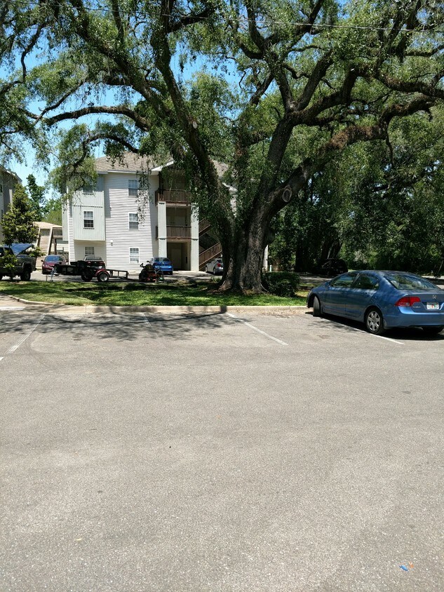 Primary Photo - 500 McKeithan St