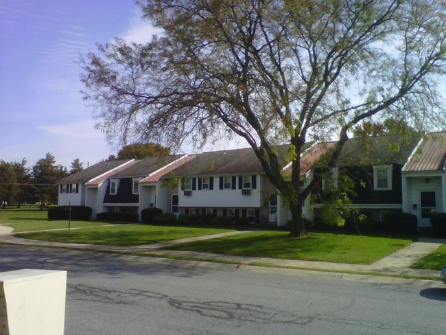 Exterior - School Court