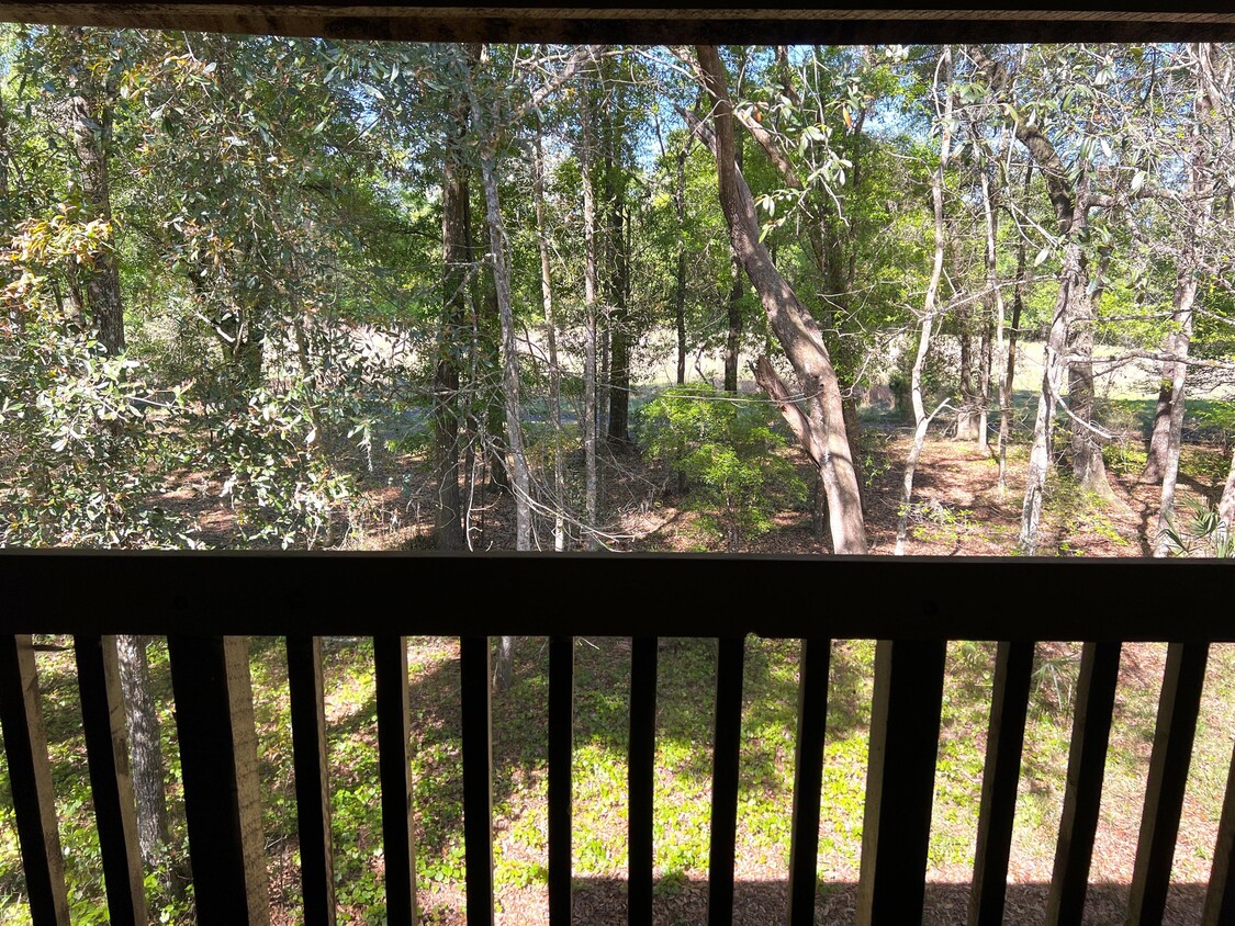 Foto principal - 2960 Ravines Rd