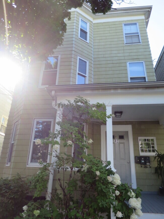 Foto del edificio - 42 Glenwood Rd