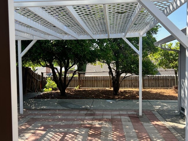 Back Yard Patio With View of Orange Trees - 560 Burlington Dr