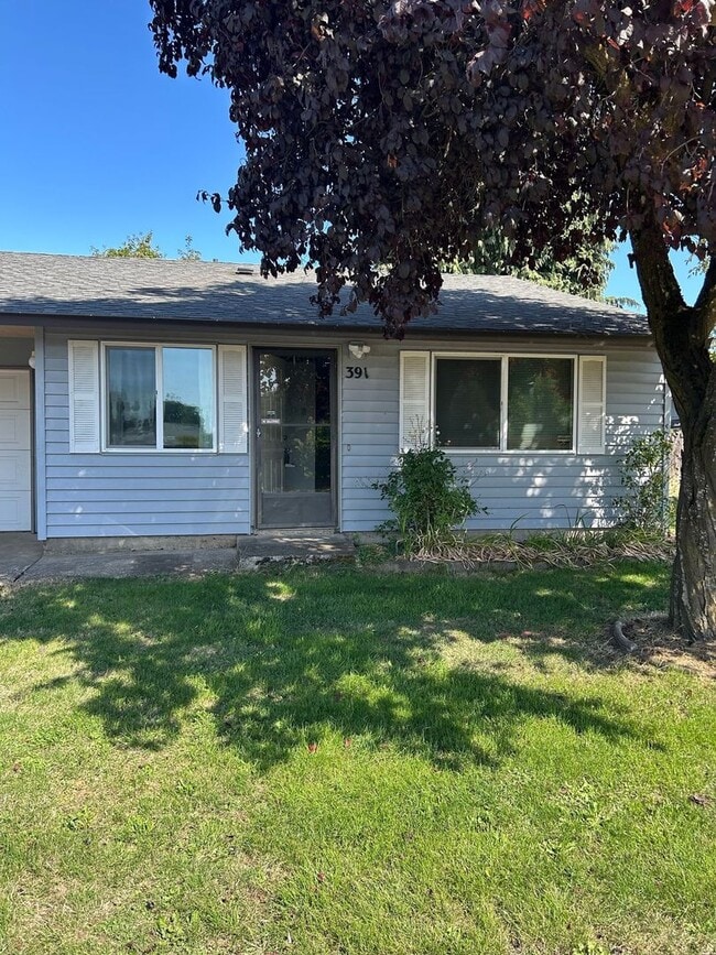 Building Photo - 391-393 Anton Ct
