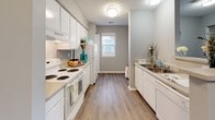 This 2-bedroom, 1-bathroom single-floor residence in Ann Arbor, Michigan offers a clean, modern aesthetic defined by cool gray walls, crisp white trim, and wood-style vinyl plank flooring that runs consistently throughout the unit. The open living area is generously proportioned, featuring a front-facing entry door flanked by windows that admit natural light and provide views of the surrounding neighborhood, creating a bright and welcoming atmosphere.

The galley-style kitchen is well-equipped with white cabinetry lining both walls, a white electric range, refrigerator, and a double-basin sink. A peninsula with additional cabinet storage bridges the kitchen to the main living area, offering functional counter space and an open sightline across the unit. Overhead flush-mount lighting ensures the kitchen remains well-lit.

Both bedrooms are comfortably sized, each featuring wood-style flooring, gray painted walls, and windows overlooking the green outdoor surroundings. The rooms provide a quiet, neutral backdrop adaptable to various furnishing arrangements.

The bathroom includes a full tub and shower combination with a curtain enclosure, a white vanity with under-cabinet storage, a large mirror, and a well-lit fixture above — delivering a practical and tidy space. Overall, the unit presents a cohesive, move-in-ready interior with consistent finishes throughout.