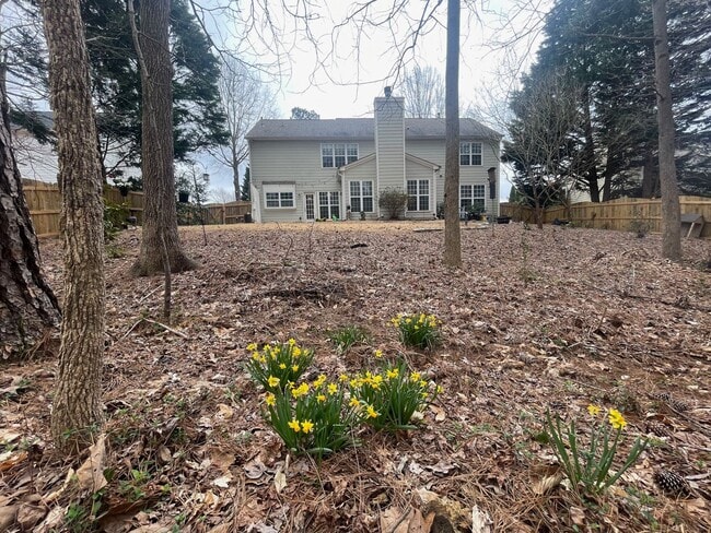 Photo - Johns Creek Location House