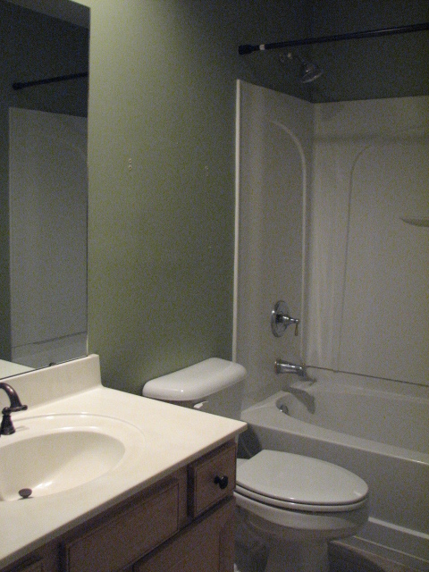 bath1 - 1160 Dawn View Ter