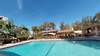 This outdoor recreational space is centered around a generously sized swimming pool with clear, blue-tinted water and a wide surrounding deck finished in smooth concrete — ideal for lounging and entertaining. The pool area is framed by mature trees and tropical-style plantings, including palms and broad-leafed foliage, creating a lush, resort-like atmosphere. A series of striking cabanas line one side of the deck, each outfitted with bold orange canopy roofing and matching draped curtains that can be tied back or drawn for privacy and shade. Inside these cabanas, padded lounge chairs and side tables provide comfortable, sheltered relaxation spots. Decorative ceramic planters with tropical plants add character and warmth to the cabana row. Additional outdoor seating, including dining-height chairs and tables with umbrellas, is arranged along the perimeter of the deck for al fresco gathering. The surrounding multi-story buildings with wood-trimmed facades and balconies provide an architectural backdrop that complements the landscaped grounds. The entire space benefits from abundant natural light and open sky views, contributing to a bright, welcoming ambiance well-suited for outdoor recreation and leisure year-round.