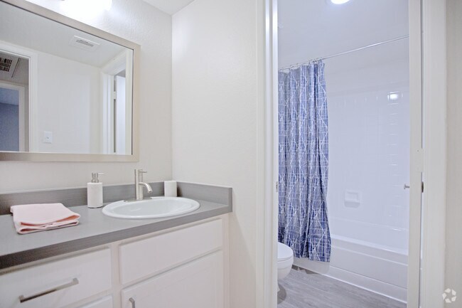 1HAB, 1BA - 580 ft² - Paseo 51