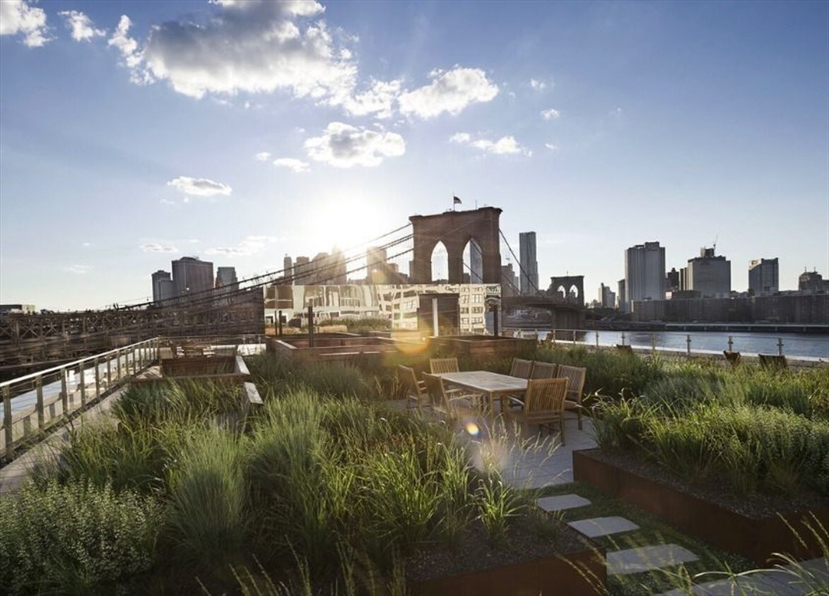 Building Photo - Dock Street Dumbo