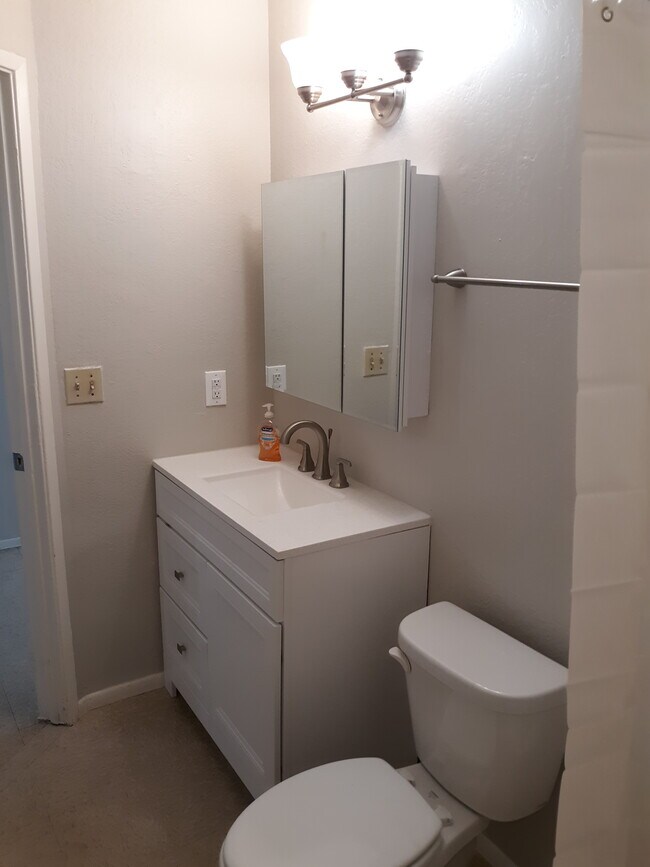 New vanity, faucet, medicine cabinet, lighting - 2755 E Wier Ave