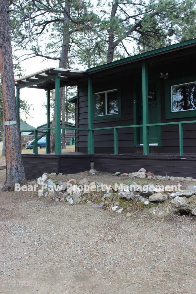 Photo - Adorable cabin in Evergreen! Apartment