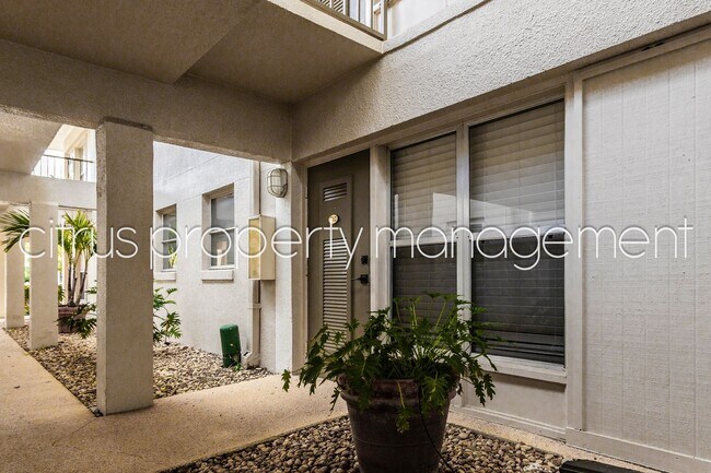 Foto del edificio - 2/1 Condo in Delaney Park