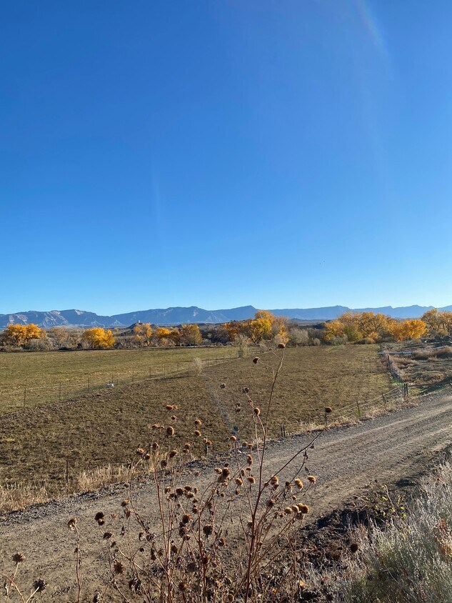 Primary Photo - 1728 O Rd