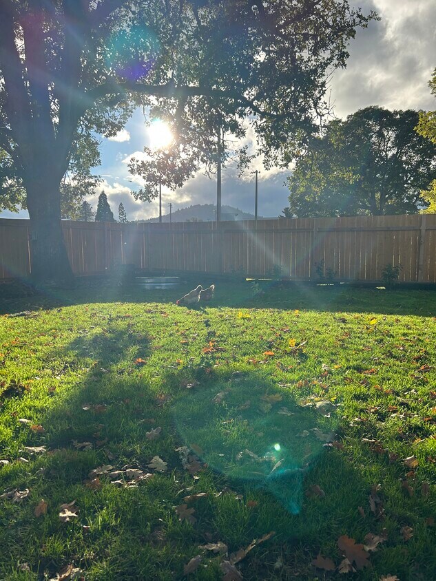 222 S 23rd St, Philomath, OR 97370 House Rental in Philomath, OR