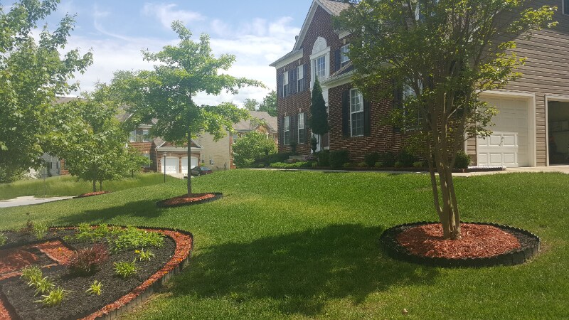 Foto principal - 8603 Dorian Ln