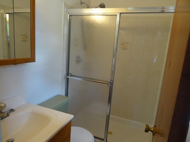 Master BR Bathroom - 2917 Bell Blvd