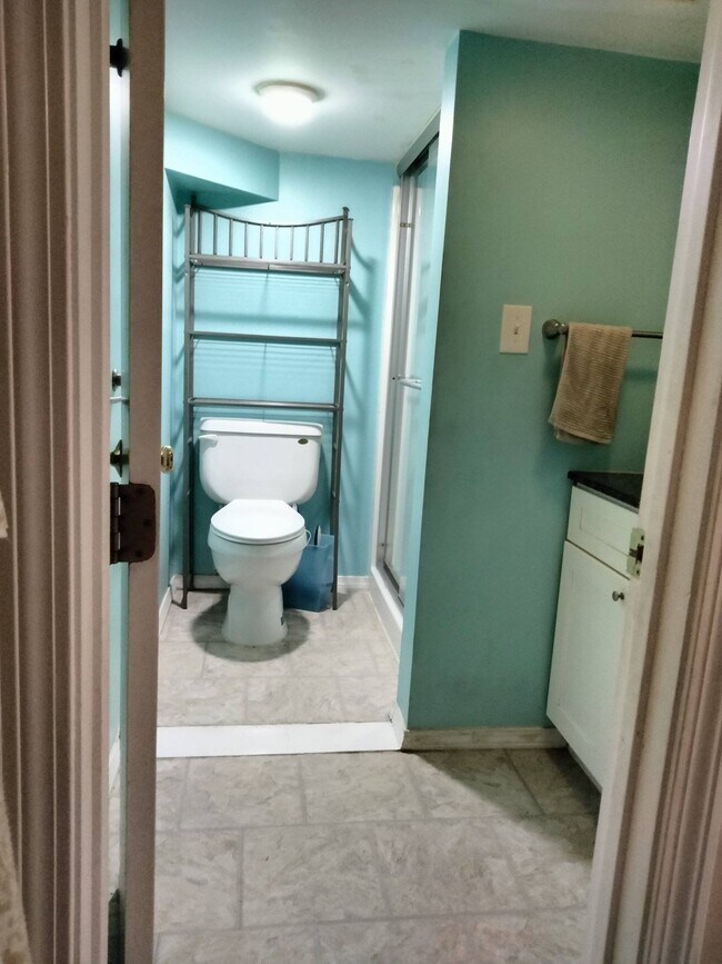 Bathroom - 4 Locke Rd