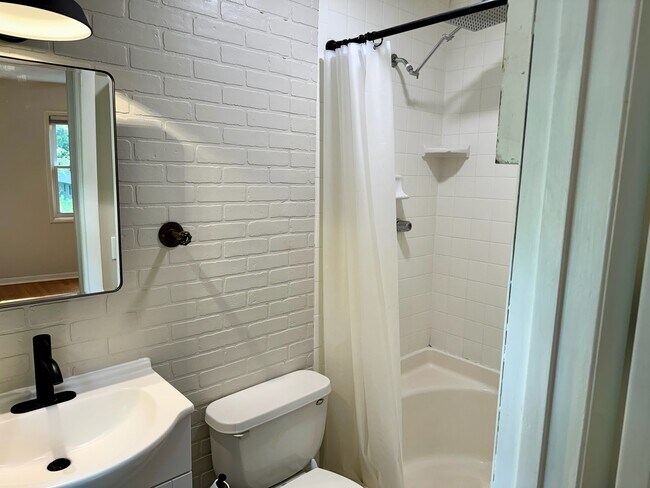 Stand up shower, toilet, sink with medicine cabinet and additional storage cabinet on wall - 6111 Northlakes Dr