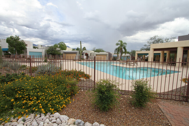 Community Pool & Spa - 5557 N Mica Mountain Dr