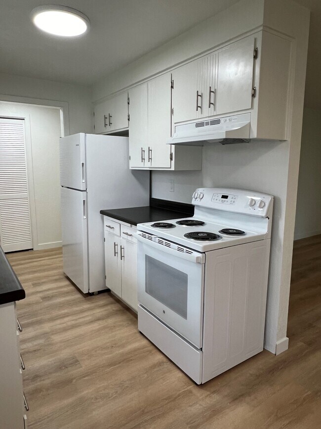 Fully updated kitchen w/new appliances - 490 Lindley Ln