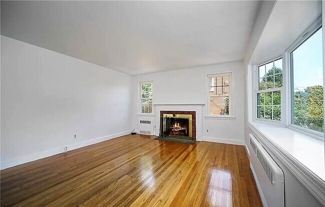 Real wood burning Fire place - 66 Knox Rd