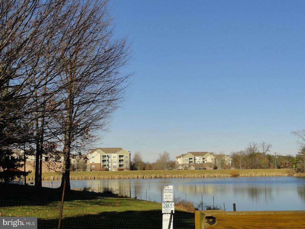 Foto del edificio - 1720 Lake Shore Crest Dr